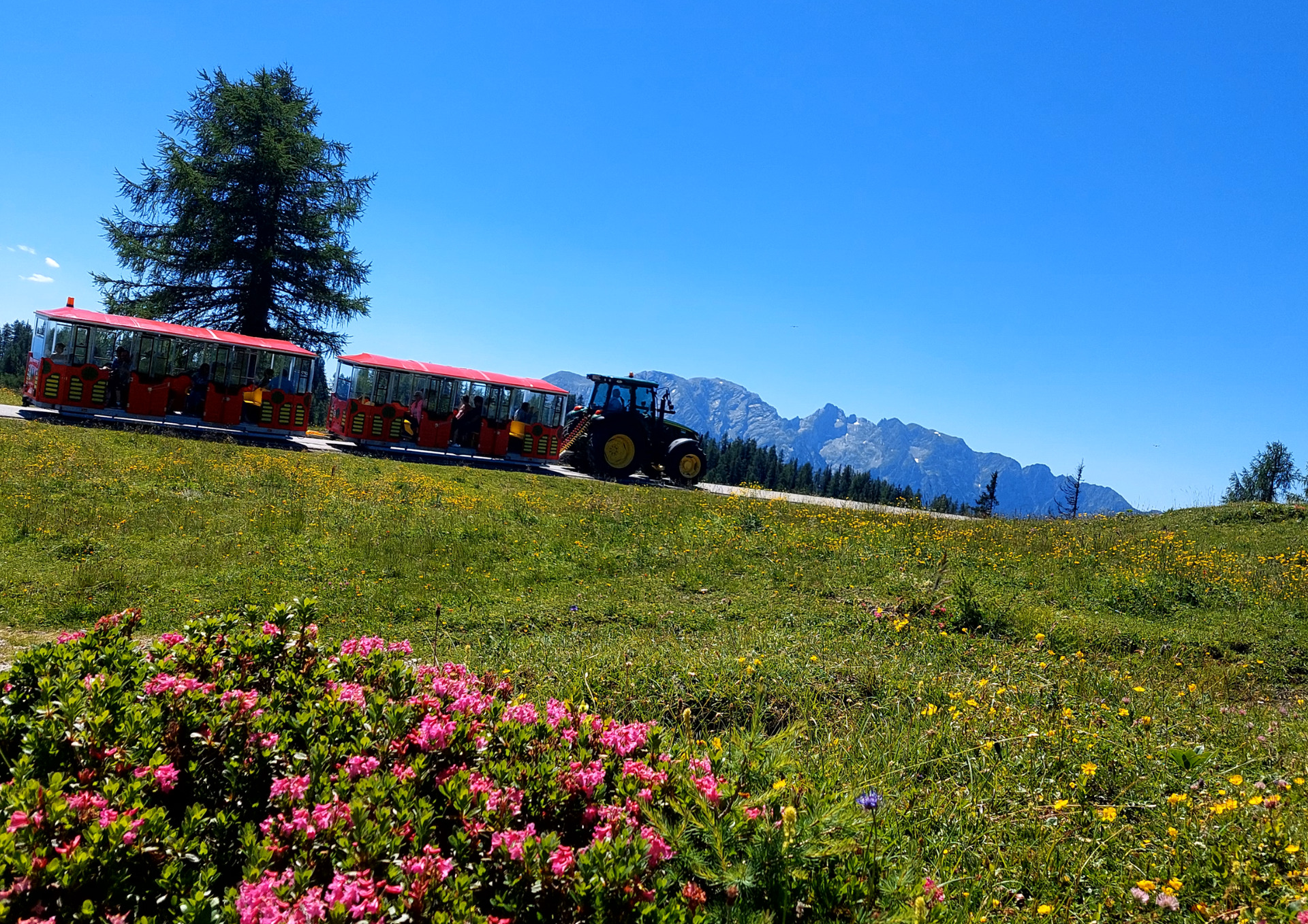 Bummelzugfahrt auf der Tauplitzalm_Musiroas (c) Hollhaus www.hollhaus.at