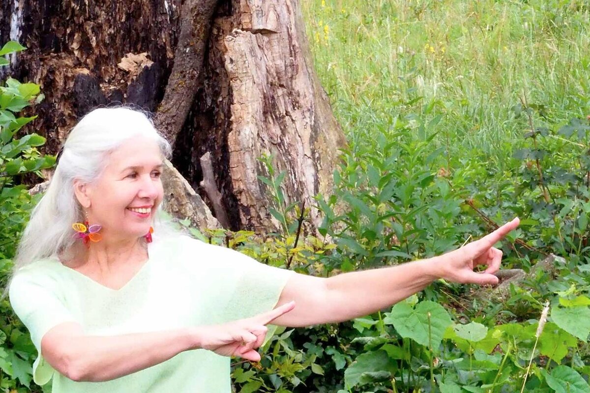 morgen-qigong-vitaltage-im-ausseerland_(c) LebensWert Akademie